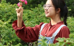 推荐几部好看的三级